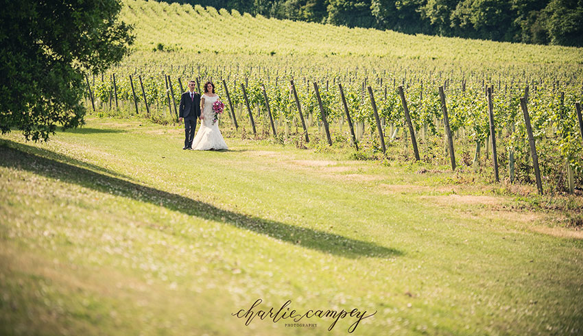 A wedding couple walking along the vineyard at Denbies Wine Estate