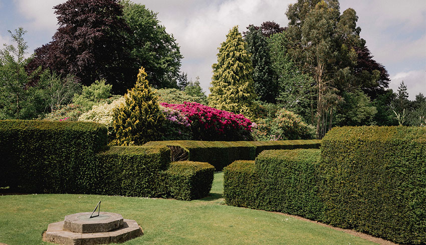The formal gardens at Surrey wedding venue, Barnett Hill Hotel